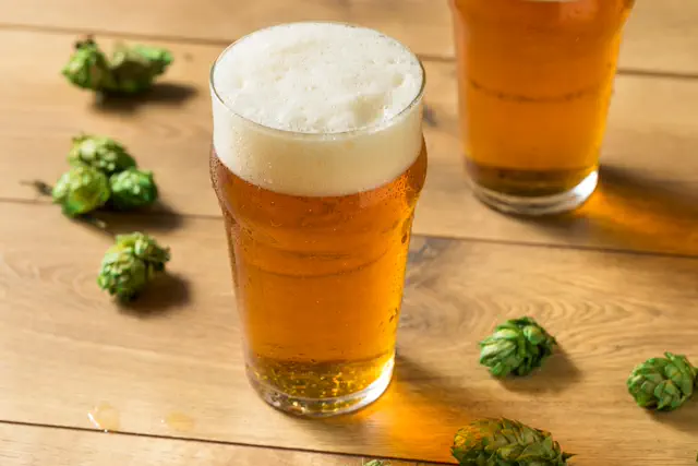 IPA Lupulada 500ml